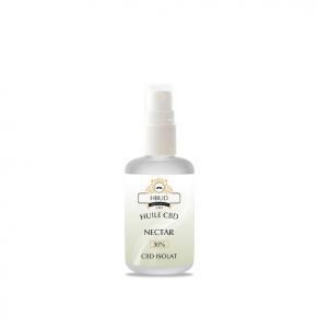 SPRAY CBD 15ML - HBUD - NECTAR