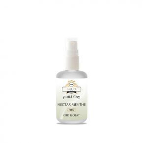 SPRAY CBD 15ML - HBUD - NECTAR MENTHE